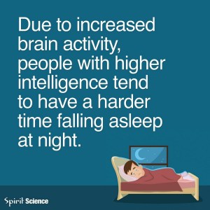 ROSE - WP Intelligence