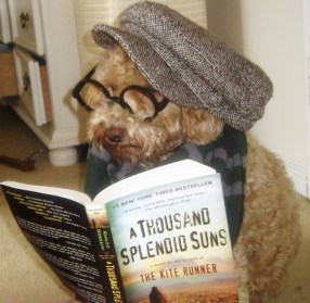 dog reading